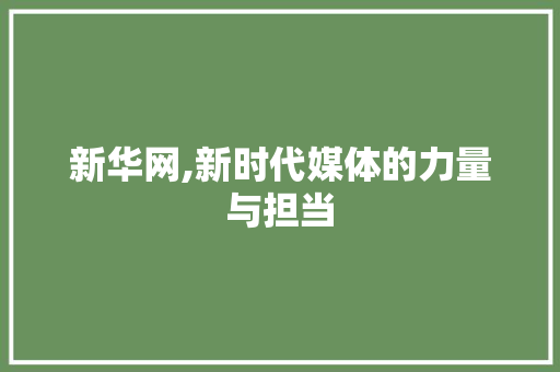 新华网,新时代媒体的力量与担当 新华网,新时代媒体的力量与担当 网站建设公司