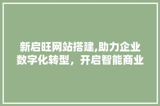 新启旺网站搭建,助力企业数字化转型，开启智能商业新时代 新启旺网站搭建,助力企业数字化转型，开启智能商业新时代 百度SEO