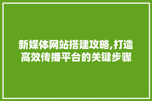 新媒体网站搭建攻略,打造高效传播平台的关键步骤 新媒体网站搭建攻略,打造高效传播平台的关键步骤 神马SEO
