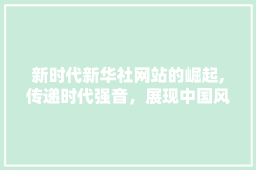 新时代新华社网站的崛起,传递时代强音，展现中国风采 新时代新华社网站的崛起,传递时代强音，展现中国风采 必应SEO