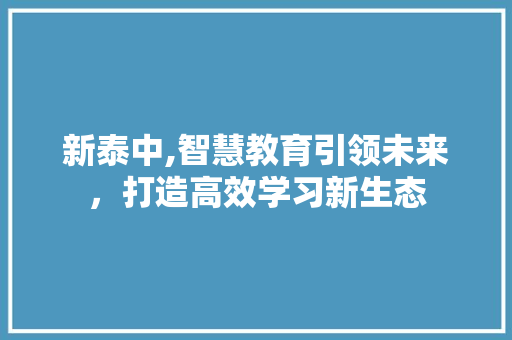 新泰中,智慧教育引领未来，打造高效学习新生态 必应SEO