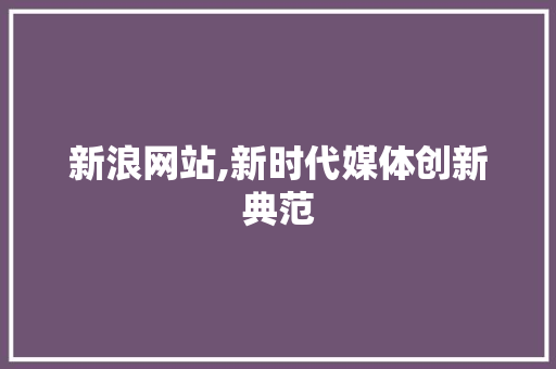 新浪网站,新时代媒体创新典范
