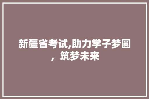 新疆省考试,助力学子梦圆，筑梦未来 新疆省考试,助力学子梦圆，筑梦未来 SEO关键词