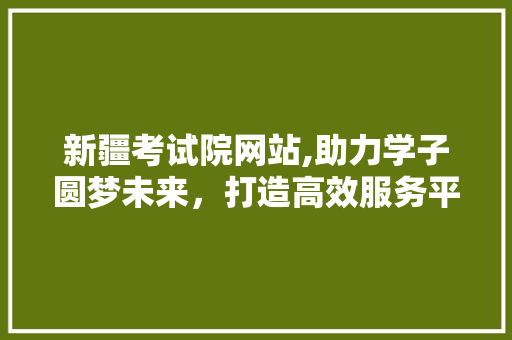 新疆考试院网站,助力学子圆梦未来，打造高效服务平台 新疆考试院网站,助力学子圆梦未来，打造高效服务平台 网站建设公司