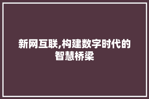 新网互联,构建数字时代的智慧桥梁 新网互联,构建数字时代的智慧桥梁 必应SEO