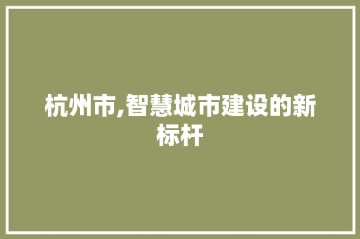 杭州市,智慧城市建设的新标杆 杭州市,智慧城市建设的新标杆 网站建设公司