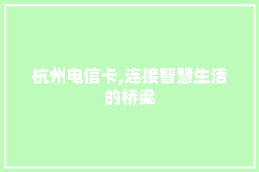 杭州电信卡,连接智慧生活的桥梁