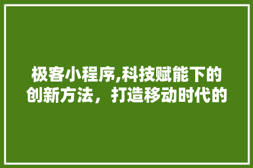 极客小程序,科技赋能下的创新方法，打造移动时代的智慧生活 极客小程序,科技赋能下的创新方法，打造移动时代的智慧生活 百度SEO