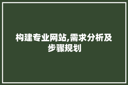 构建专业网站,需求分析及步骤规划 构建专业网站,需求分析及步骤规划 必应SEO