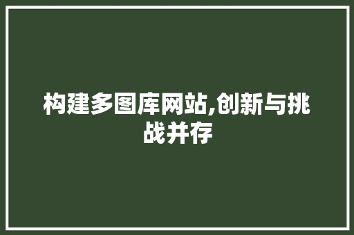 构建多图库网站,创新与挑战并存 构建多图库网站,创新与挑战并存 必应SEO