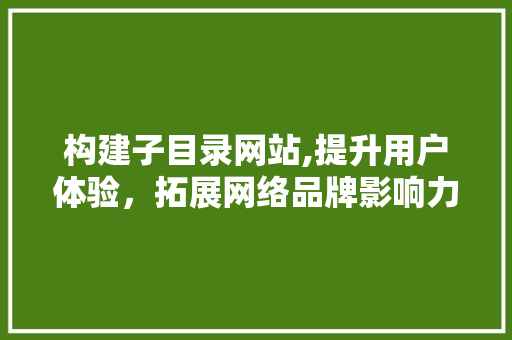 构建子目录网站,提升用户体验，拓展网络品牌影响力 构建子目录网站,提升用户体验，拓展网络品牌影响力 网站建设公司