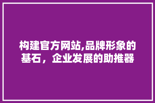 构建官方网站,品牌形象的基石，企业发展的助推器 构建官方网站,品牌形象的基石，企业发展的助推器 百度SEO