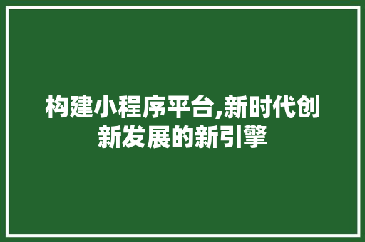 构建小程序平台,新时代创新发展的新引擎 构建小程序平台,新时代创新发展的新引擎 神马SEO