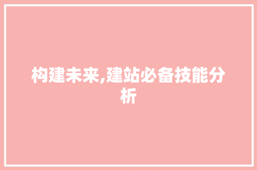 构建未来,建站必备技能分析 构建未来,建站必备技能分析 百度SEO