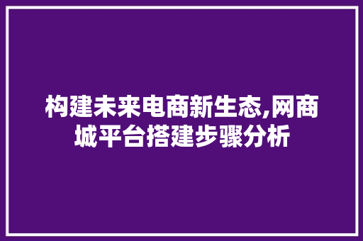 构建未来电商新生态,网商城平台搭建步骤分析