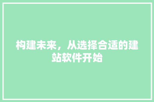 构建未来，从选择合适的建站软件开始 构建未来，从选择合适的建站软件开始 必应SEO