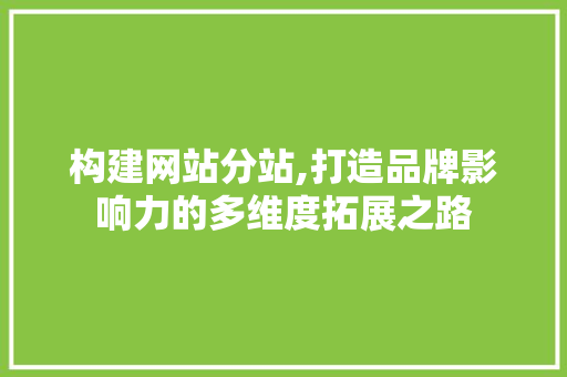 构建网站分站,打造品牌影响力的多维度拓展之路 构建网站分站,打造品牌影响力的多维度拓展之路 必应SEO