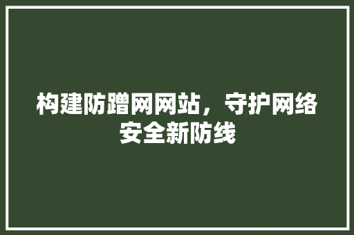 构建防蹭网网站，守护网络安全新防线