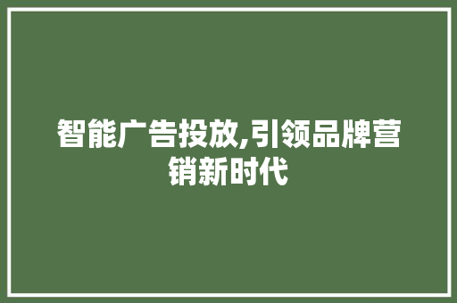 智能广告投放,引领品牌营销新时代 智能广告投放,引领品牌营销新时代 网站建设公司