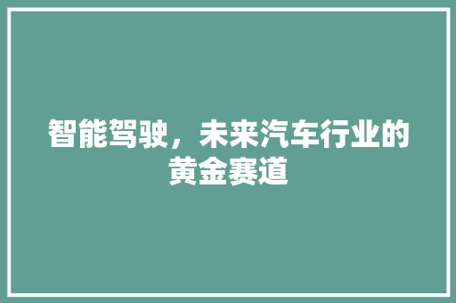 智能驾驶，未来汽车行业的黄金赛道 智能驾驶，未来汽车行业的黄金赛道 网站建设公司