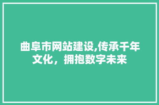 曲阜市网站建设,传承千年文化，拥抱数字未来 曲阜市网站建设,传承千年文化，拥抱数字未来 神马SEO