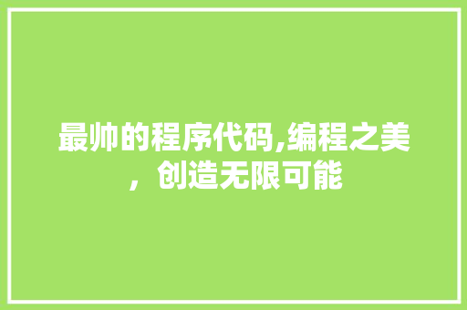 最帅的程序代码,编程之美，创造无限可能 最帅的程序代码,编程之美，创造无限可能 百度SEO