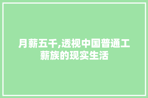 月薪五千,透视中国普通工薪族的现实生活 月薪五千,透视中国普通工薪族的现实生活 百度SEO