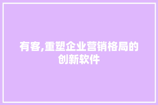 有客,重塑企业营销格局的创新软件 有客,重塑企业营销格局的创新软件 搜狗SEO