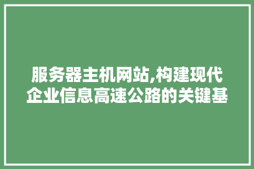 服务器主机网站,构建现代企业信息高速公路的关键基石 SEO关键词 服务器主机网站,构建现代企业信息高速公路的关键基石 服务器主机网站,构建现代企业信息高速公路的关键基石 SEO关键词