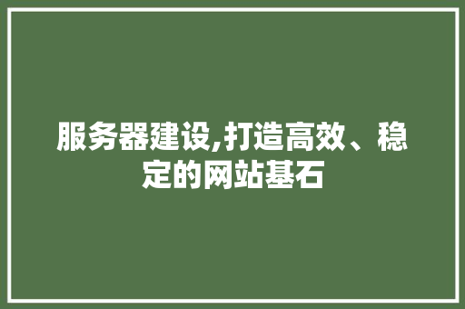 服务器建设,打造高效、稳定的网站基石 服务器建设,打造高效、稳定的网站基石 SEO关键词