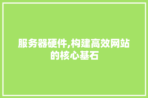 服务器硬件,构建高效网站的核心基石 服务器硬件,构建高效网站的核心基石 必应SEO