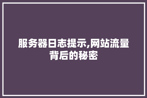 服务器日志提示,网站流量背后的秘密 服务器日志提示,网站流量背后的秘密 网站建设公司