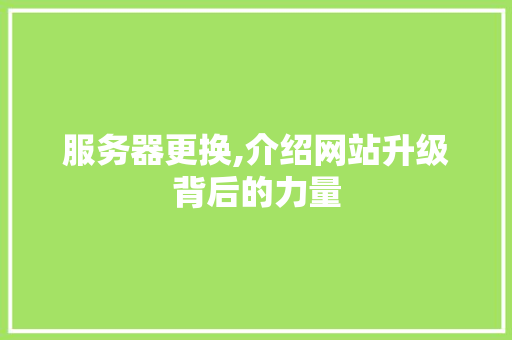 服务器更换,介绍网站升级背后的力量