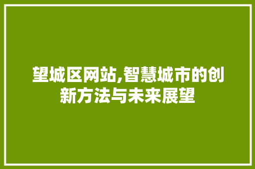 望城区网站,智慧城市的创新方法与未来展望 望城区网站,智慧城市的创新方法与未来展望 百度SEO