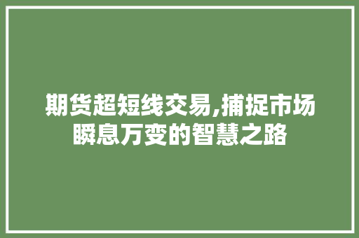 期货超短线交易,捕捉市场瞬息万变的智慧之路 期货超短线交易,捕捉市场瞬息万变的智慧之路 必应SEO