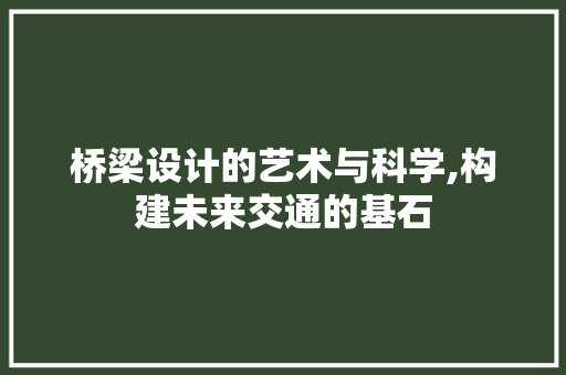 桥梁设计的艺术与科学,构建未来交通的基石 桥梁设计的艺术与科学,构建未来交通的基石 SEO关键词