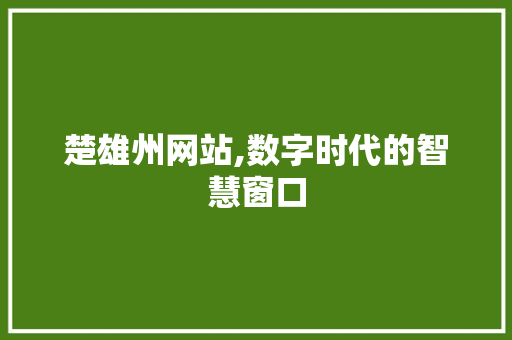 楚雄州网站,数字时代的智慧窗口 楚雄州网站,数字时代的智慧窗口 神马SEO