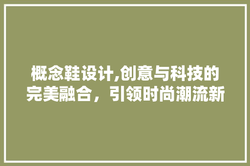 概念鞋设计,创意与科技的完美融合，引领时尚潮流新风向 概念鞋设计,创意与科技的完美融合，引领时尚潮流新风向 网站建设公司