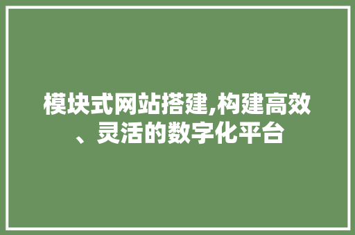 模块式网站搭建,构建高效、灵活的数字化平台 模块式网站搭建,构建高效、灵活的数字化平台 必应SEO