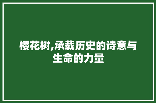樱花树,承载历史的诗意与生命的力量 樱花树,承载历史的诗意与生命的力量 SEO关键词