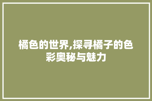 橘色的世界,探寻橘子的色彩奥秘与魅力