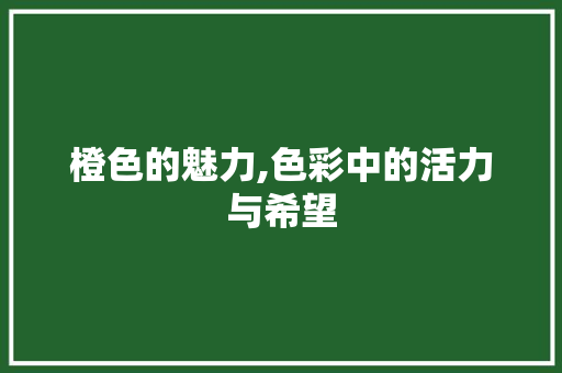 橙色的魅力,色彩中的活力与希望 橙色的魅力,色彩中的活力与希望 必应SEO