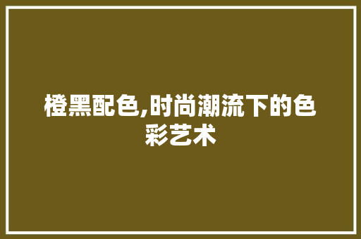 橙黑配色,时尚潮流下的色彩艺术 橙黑配色,时尚潮流下的色彩艺术 百度SEO