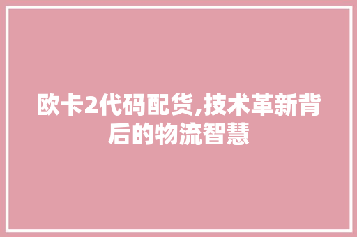 欧卡2代码配货,技术革新背后的物流智慧