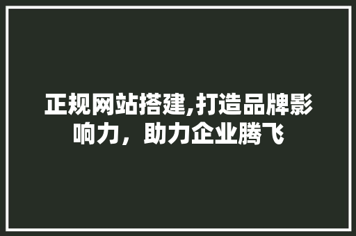 正规网站搭建,打造品牌影响力，助力企业腾飞