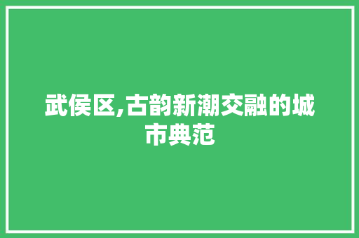 武侯区,古韵新潮交融的城市典范 武侯区,古韵新潮交融的城市典范 网站建设公司