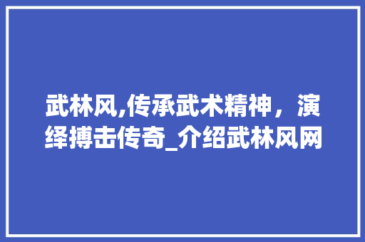 武林风,传承武术精神，演绎搏击传奇_介绍武林风网站的魅力 武林风,传承武术精神，演绎搏击传奇_介绍武林风网站的魅力 网站建设公司