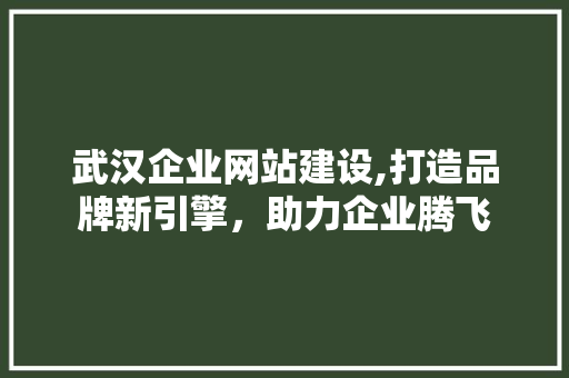 武汉企业网站建设,打造品牌新引擎，助力企业腾飞 武汉企业网站建设,打造品牌新引擎，助力企业腾飞 神马SEO
