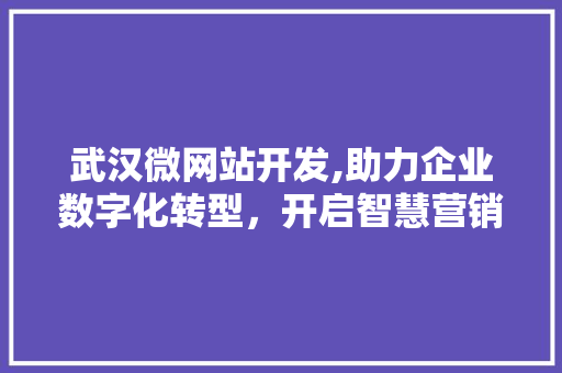 武汉微网站开发,助力企业数字化转型，开启智慧营销新篇章 武汉微网站开发,助力企业数字化转型，开启智慧营销新篇章 网站建设公司