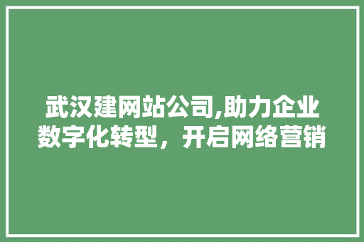 武汉建网站公司,助力企业数字化转型，开启网络营销新篇章 武汉建网站公司,助力企业数字化转型，开启网络营销新篇章 搜狗SEO